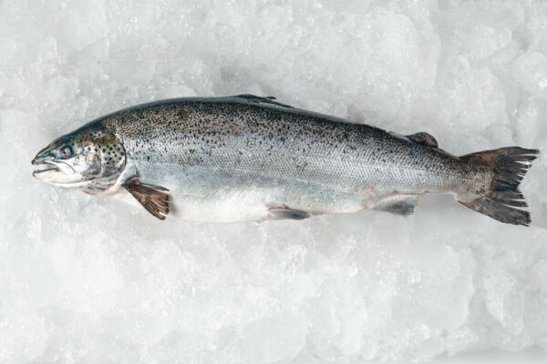 Salmón en libro (200g) - Imagen 5