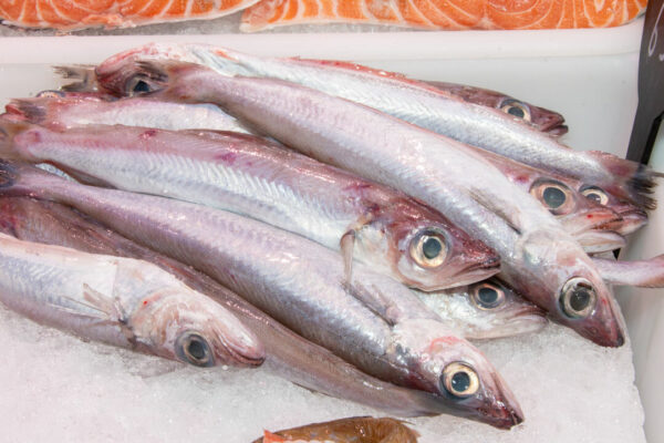 Bacaladilla sin espina (500g) - Imagen 2