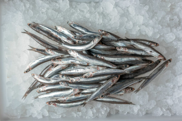 Boquerón Sin cabeza ni tripa (500g) - Imagen 3