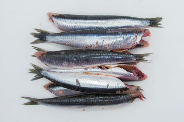 Boquerón Sin cabeza ni tripa (500g)