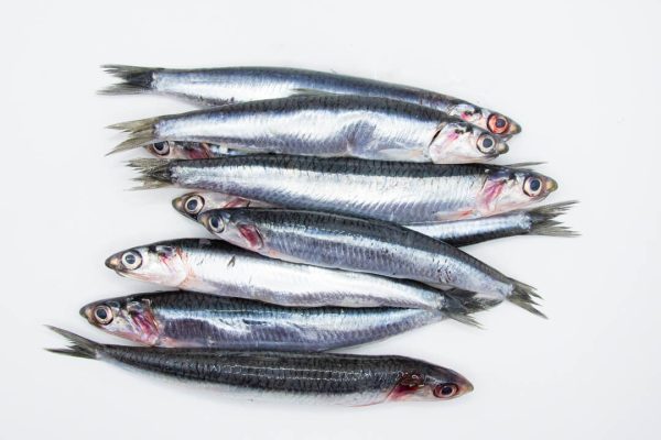 Boquerón Entero (500g)