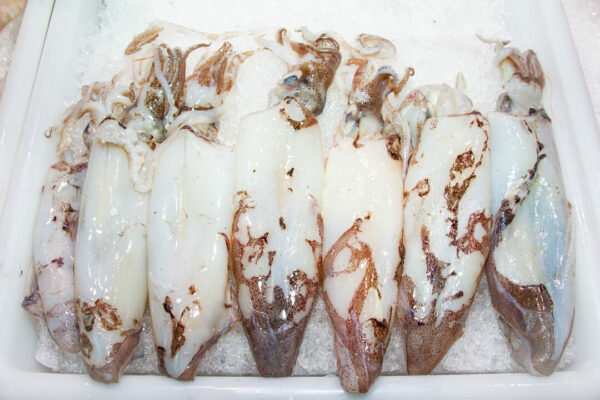 Calamar sin limpiar (200g) - Imagen 2