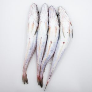 Pescadilla entera (500g)