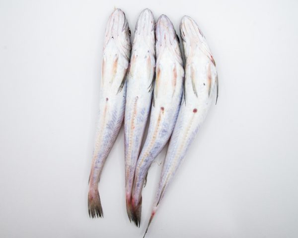 Pescadilla sin espinas (500g) - Imagen 3
