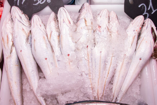 Pescadilla sin espinas (500g) - Imagen 2