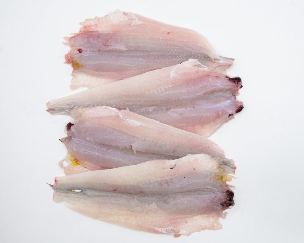 Pescadilla sin espinas (500g)