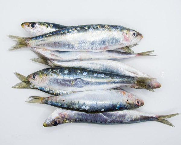 Sardina sin espinas (500g) - Imagen 2