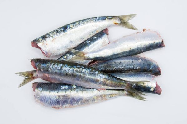 Sardina limpia (500g)