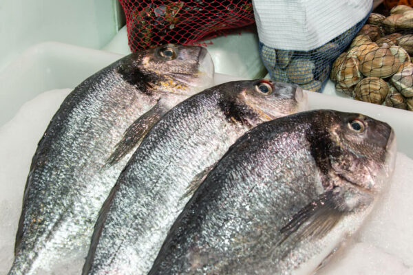 Dorada en libro (500g) - Imagen 2