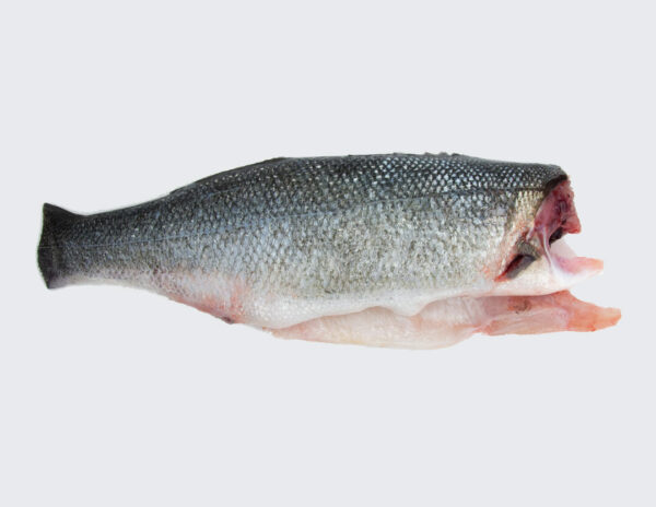 Lubina limpia (500g)