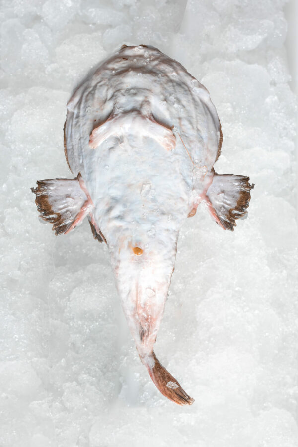 Filete de Rape (200g) - Imagen 5